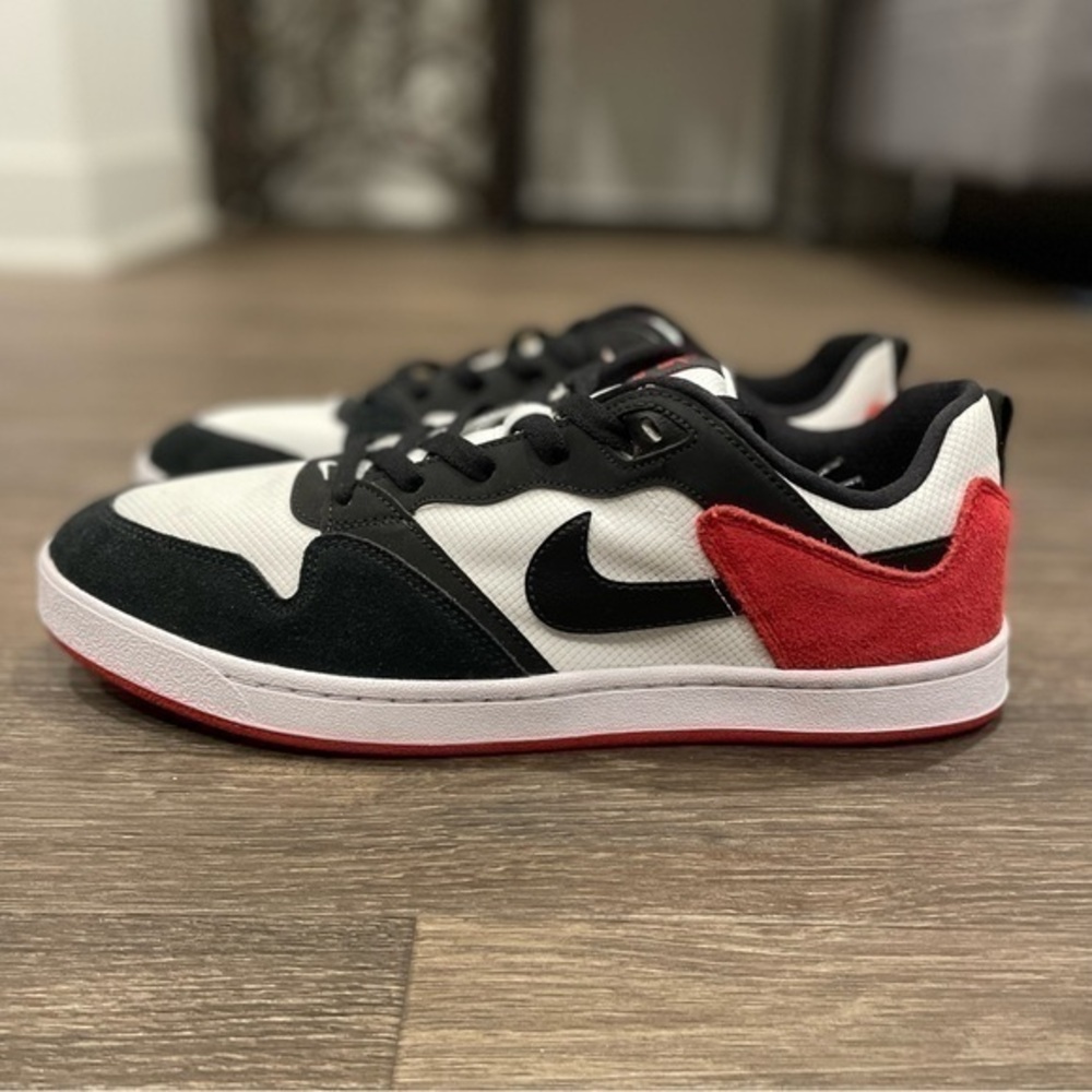 Nike SB Alley Hoop sz 11
